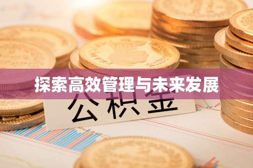 香港岛探索高效管理与未来发展