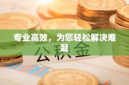 香港岛专业高效，为您轻松解决难题
