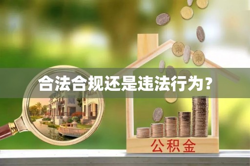 香港岛合法合规还是违法行为？